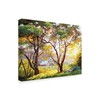 Trademark Fine Art Erin Dertner 'Burnished Landscape' Canvas Art, 18x24 WAG02255-C1824GG